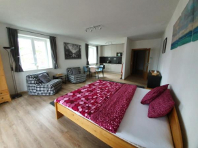 Sport Apartment, Lipno Nad Vltavou